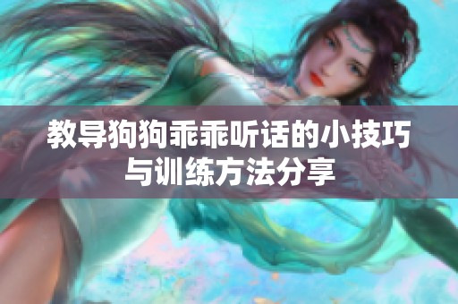 教导狗狗乖乖听话的小技巧与训练方法分享