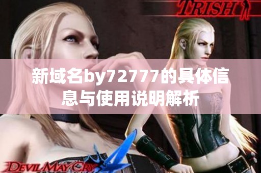 新域名by72777的具体信息与使用说明解析