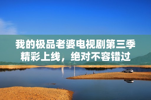 我的极品老婆电视剧第三季精彩上线，绝对不容错过