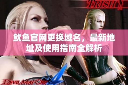 鱿鱼官网更换域名，最新地址及使用指南全解析