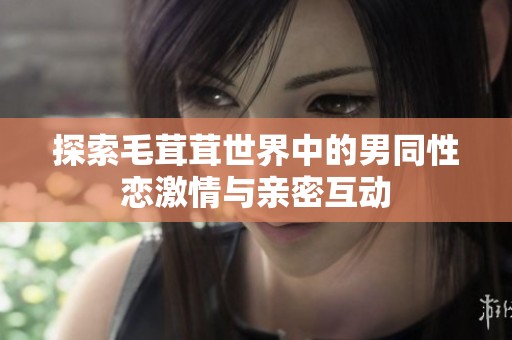 探索毛茸茸世界中的男同性恋激情与亲密互动