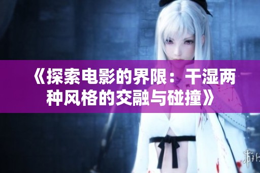 《探索电影的界限：干湿两种风格的交融与碰撞》