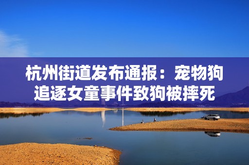 杭州街道发布通报：宠物狗追逐女童事件致狗被摔死