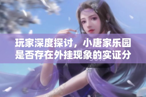 玩家深度探讨，小唐家乐园是否存在外挂现象的实证分析