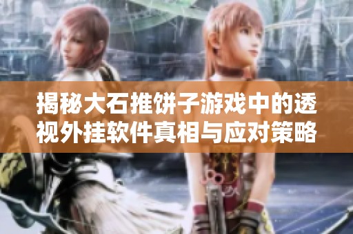 揭秘大石推饼子游戏中的透视外挂软件真相与应对策略