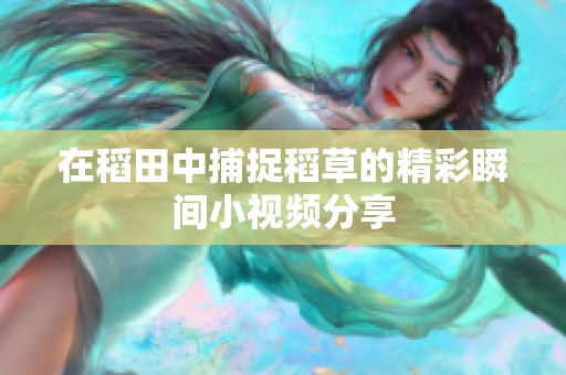 在稻田中捕捉稻草的精彩瞬间小视频分享