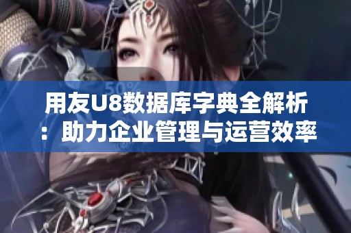 用友U8数据库字典全解析：助力企业管理与运营效率提升