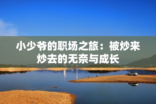 小少爷的职场之旅：被炒来炒去的无奈与成长