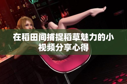 在稻田间捕捉稻草魅力的小视频分享心得