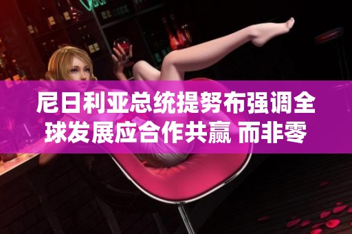 尼日利亚总统提努布强调全球发展应合作共赢 而非零和对抗