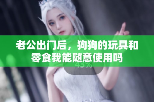 老公出门后，狗狗的玩具和零食我能随意使用吗