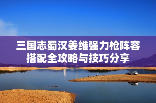 三国志蜀汉姜维强力枪阵容搭配全攻略与技巧分享