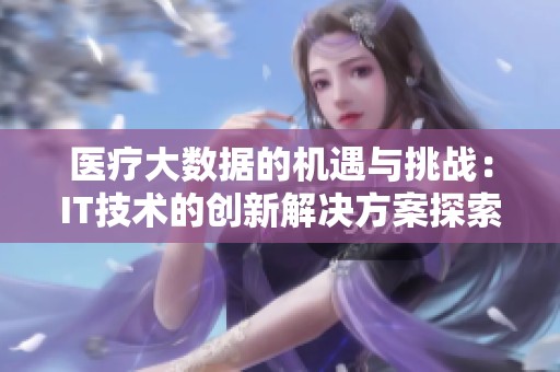 医疗大数据的机遇与挑战：IT技术的创新解决方案探索