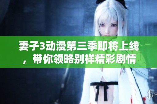 妻子3动漫第三季即将上线，带你领略别样精彩剧情