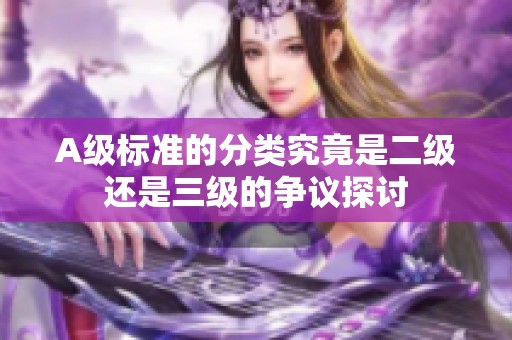 A级标准的分类究竟是二级还是三级的争议探讨