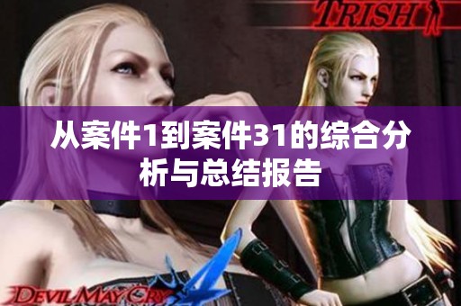从案件1到案件31的综合分析与总结报告