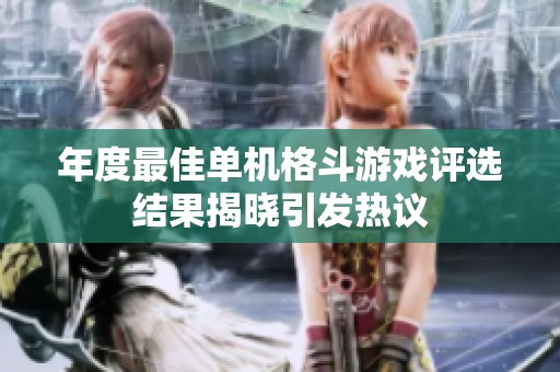 年度最佳单机格斗游戏评选结果揭晓引发热议
