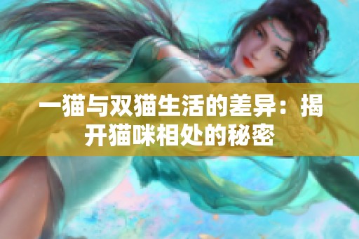 一猫与双猫生活的差异：揭开猫咪相处的秘密
