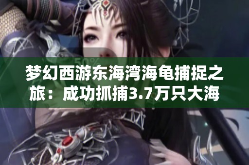 梦幻西游东海湾海龟捕捉之旅：成功抓捕3.7万只大海龟