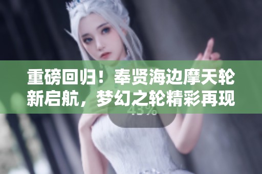 重磅回归！奉贤海边摩天轮新启航，梦幻之轮精彩再现