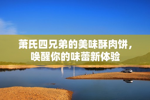 萧氏四兄弟的美味酥肉饼，唤醒你的味蕾新体验