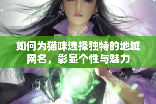 如何为猫咪选择独特的地域网名，彰显个性与魅力
