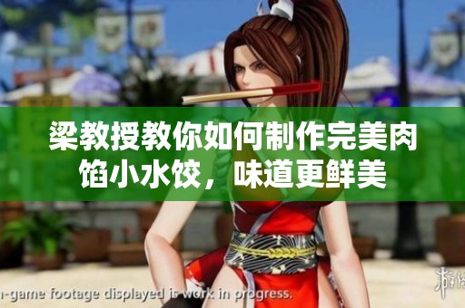 梁教授教你如何制作完美肉馅小水饺，味道更鲜美