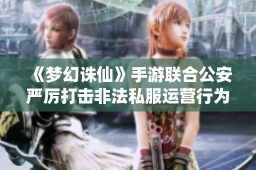 《梦幻诛仙》手游联合公安严厉打击非法私服运营行为