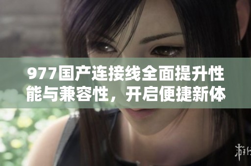 977国产连接线全面提升性能与兼容性，开启便捷新体验