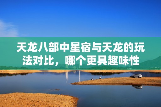 天龙八部中星宿与天龙的玩法对比，哪个更具趣味性