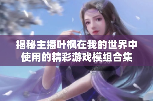 揭秘主播叶枫在我的世界中使用的精彩游戏模组合集