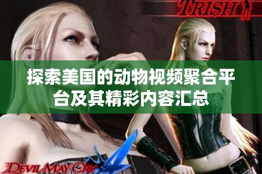 探索美国的动物视频聚合平台及其精彩内容汇总