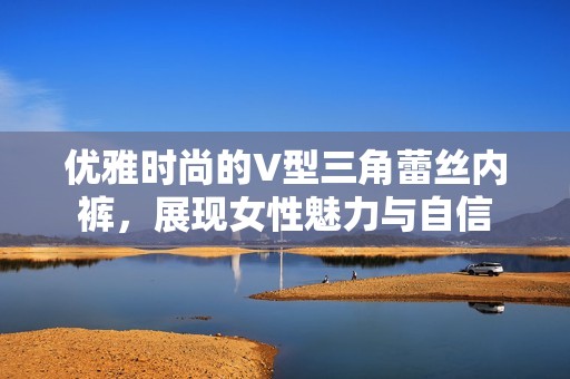 优雅时尚的V型三角蕾丝内裤，展现女性魅力与自信