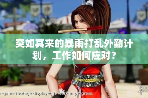 突如其来的暴雨打乱外勤计划，工作如何应对？