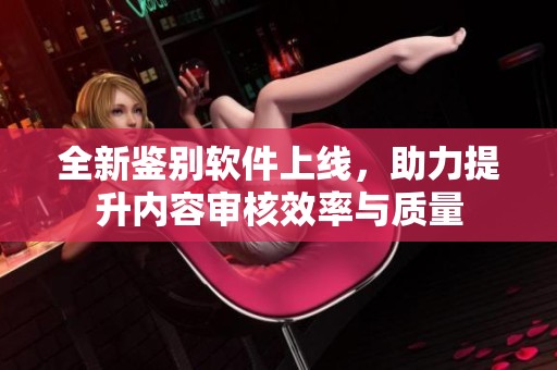 全新鉴别软件上线，助力提升内容审核效率与质量