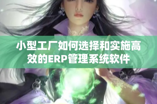 小型工厂如何选择和实施高效的ERP管理系统软件