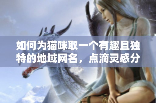 如何为猫咪取一个有趣且独特的地域网名，点滴灵感分享