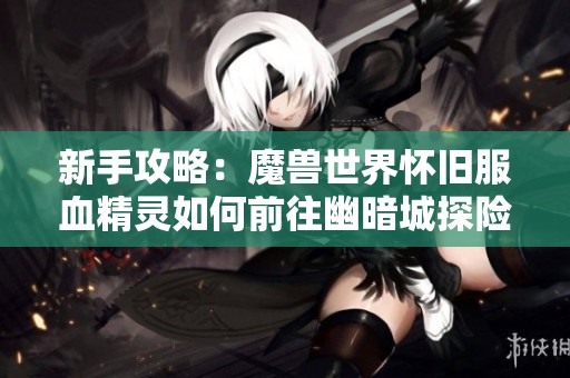 新手攻略：魔兽世界怀旧服血精灵如何前往幽暗城探险