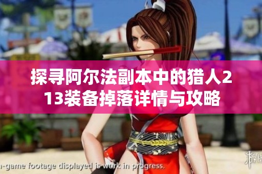 探寻阿尔法副本中的猎人213装备掉落详情与攻略