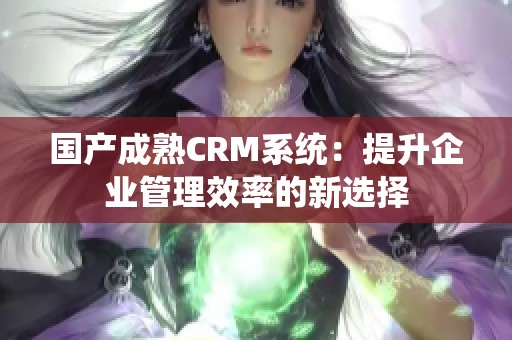 国产成熟CRM系统：提升企业管理效率的新选择