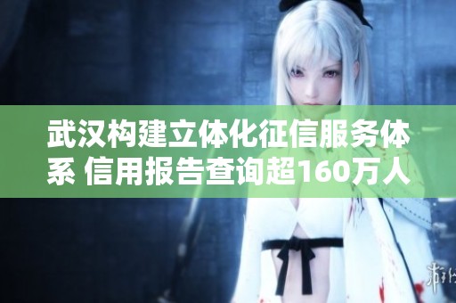 武汉构建立体化征信服务体系 信用报告查询超160万人次