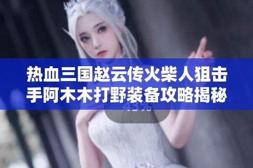 热血三国赵云传火柴人狙击手阿木木打野装备攻略揭秘
