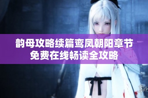 韵母攻略续篇鸾凤朝阳章节免费在线畅读全攻略
