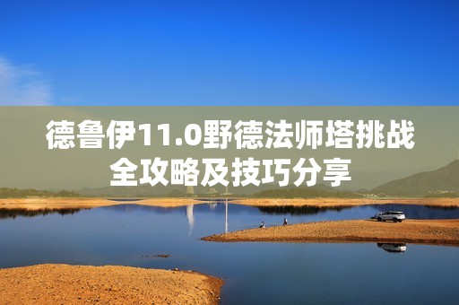 德鲁伊11.0野德法师塔挑战全攻略及技巧分享