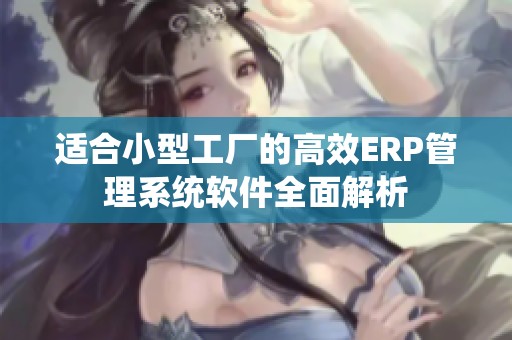 适合小型工厂的高效ERP管理系统软件全面解析