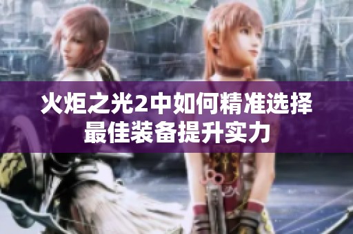 火炬之光2中如何精准选择最佳装备提升实力