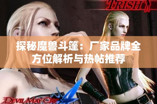 探秘魔兽斗篷：厂家品牌全方位解析与热帖推荐