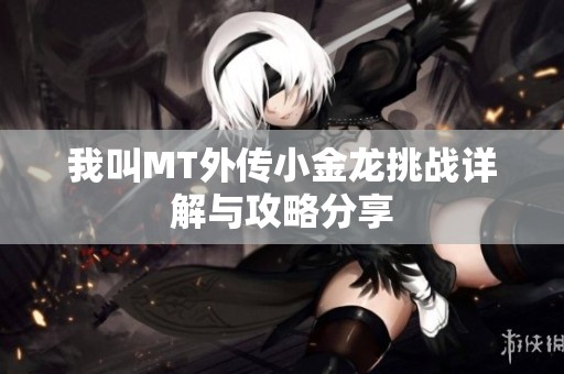 我叫MT外传小金龙挑战详解与攻略分享