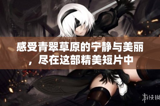 感受青翠草原的宁静与美丽，尽在这部精美短片中
