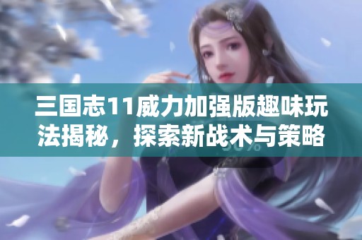 三国志11威力加强版趣味玩法揭秘，探索新战术与策略